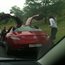Catch a Crash