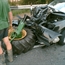 Catch a Crash