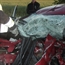Catch a Crash